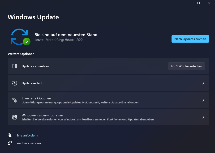 Windows 11 Update Fenster